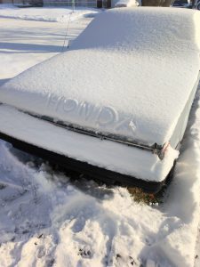 Diesel Fuel + Winter